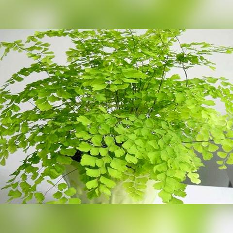 空气质量在线监测平台的简单介绍