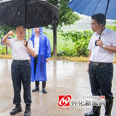 溆浦县天气预报（溆浦县天气预报十五天）