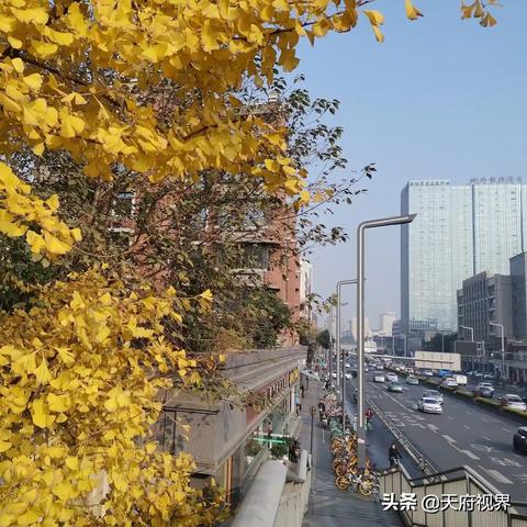 空气质量指数实时监测(成都空气质量指数实时监测) 空气质量指数实时监测(成都空气质量指数实时监测)