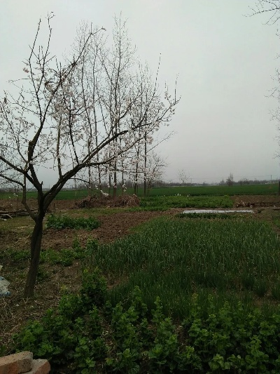 颍东区天气预报（颍东区天气预报15天忝加桌面）