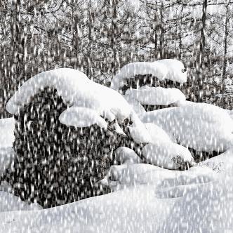 北京30天天气预报最准确(30天天气预报 北京) 北京30天天气预报最准确(30天天气预报 北京)