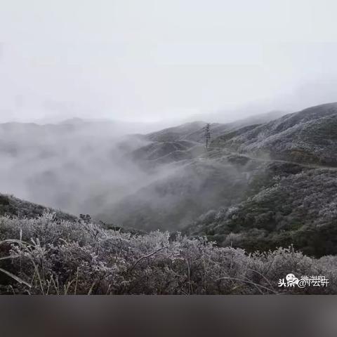 浏阳天气预报30天查询百度（浏阳天气预报15天查询最新消息）