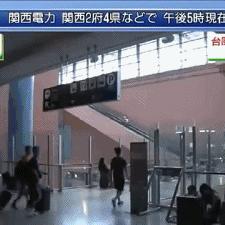 日本为中国挡了多少台风（中国台风最厉害三个省）