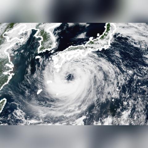 未来10天台风胚胎最新消息的简单介绍